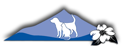 Home | Veterinarian in Gresham, OR | Dogwood Pet Hospital